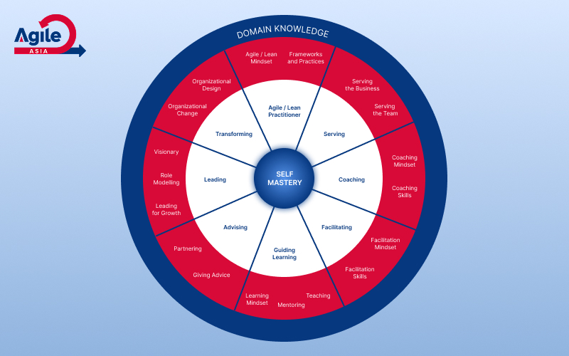 Agile Lean Practitioner domain knowledge wheel.
